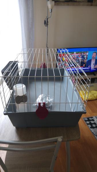 Cage a lapin nain toute meuf - Divers - FastAnnonces.fr : Les annonces gratuites et rapides